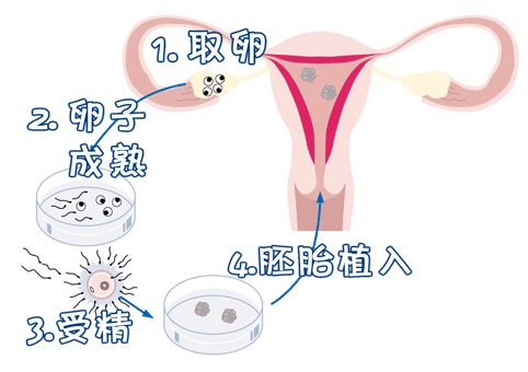 层流实验室